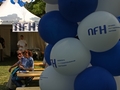 NFH: Megtévesztő tájékoztatást ad a Bricostore